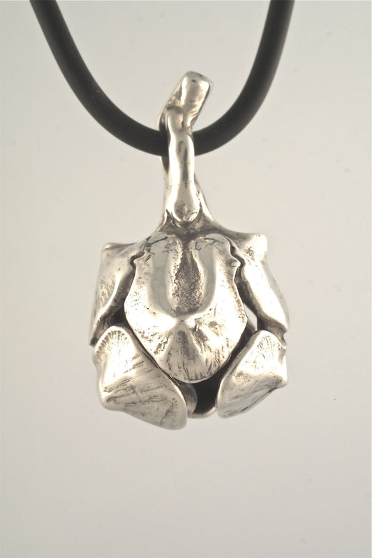 Bell Necklace in Sterling silver is 35 mm tall. (front view) This handmade pendant is made with lost wax casting, then polished and assembled in Washington state. suitable for botany tree seed pod