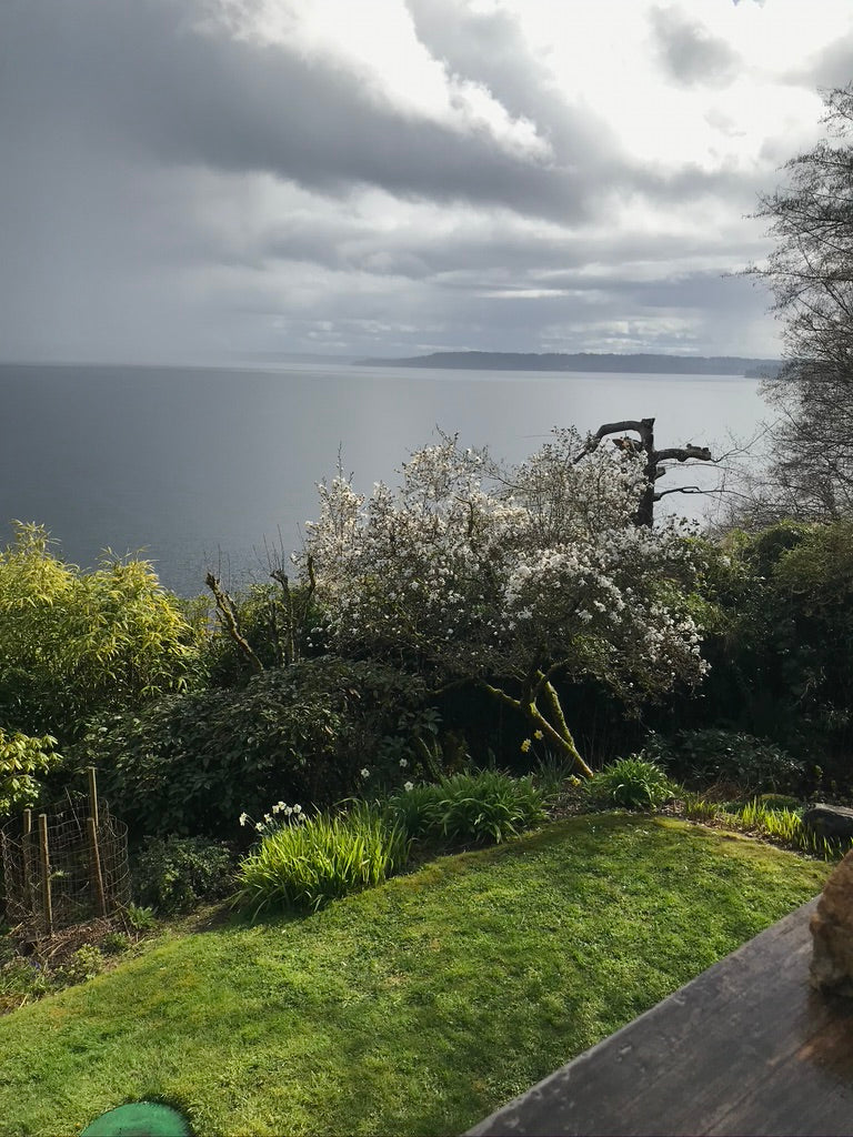 Gardening Soundcliff - from Winter Solstice 2020 Into Spring... Part One